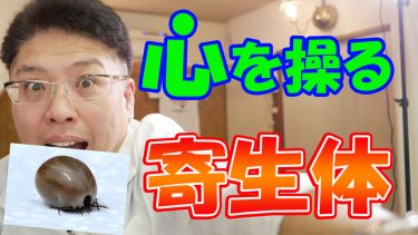 人の脳を冒し、心を操る寄生体【統合失調症】